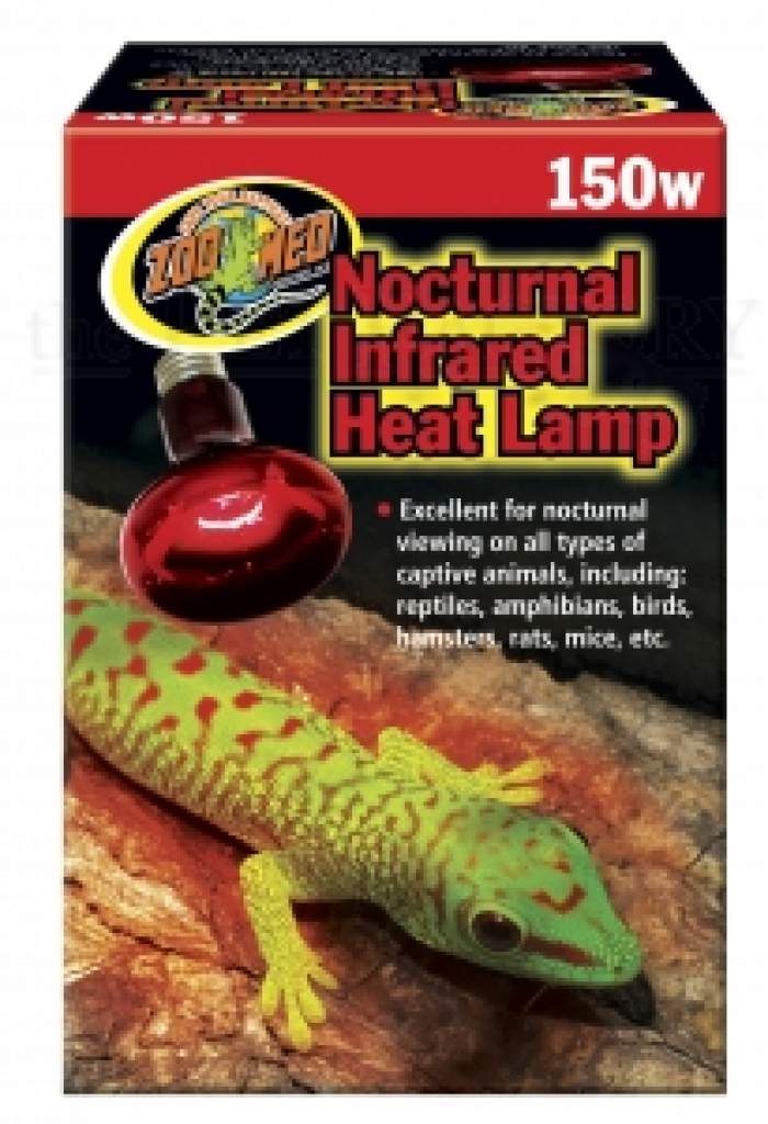 Infrarot Nacht-Wärmelampe – Zoo Med Nocturnal